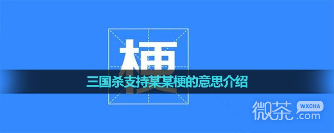 三国杀支持某某梗是什么意思详情