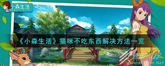 小森生活猫咪不吃东西怎么解决