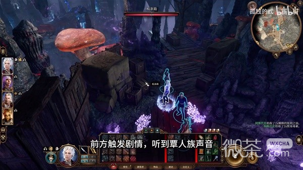 博德之门3幽暗地域全宝箱收集视频攻略一览