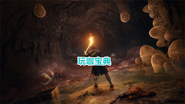 艾尔登法环最高性价比加点 艾尔登法环加点攻略