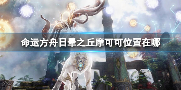 《命运方舟》日晕之丘摩可可位置攻略