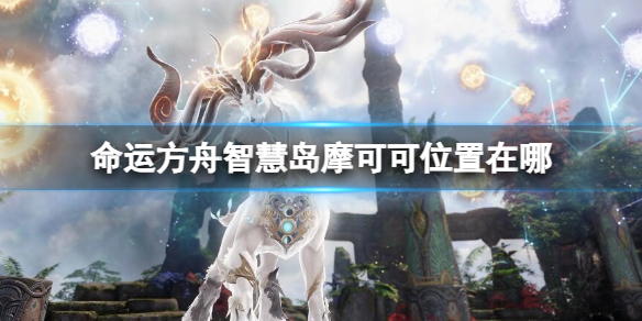 《命运方舟》智慧岛摩可可位置攻略