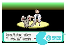 口袋妖怪漆黑的魅影5.0exbw攻略