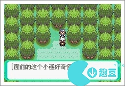 口袋妖怪漆黑的魅影5.0exbw攻略