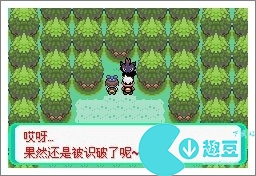 口袋妖怪漆黑的魅影5.0exbw攻略