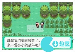口袋妖怪漆黑的魅影5.0exbw攻略