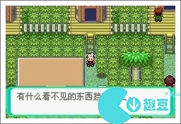 口袋妖怪漆黑的魅影5.0exbw攻略