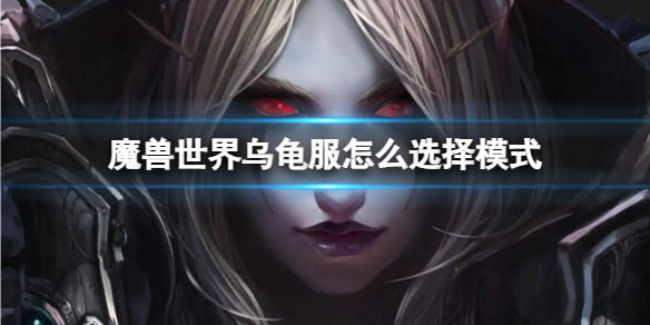 《魔兽世界》乌龟服选择模式方法