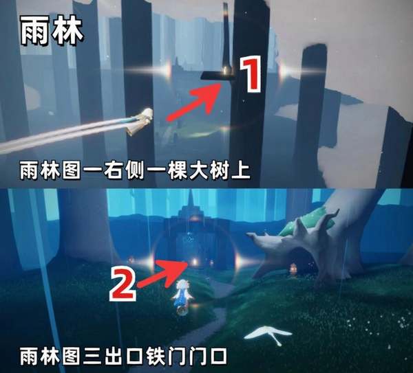 光遇雨林所有小金人位置图文攻略