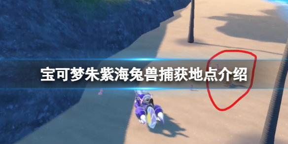 《宝可梦朱紫》海兔兽捕获地点介绍