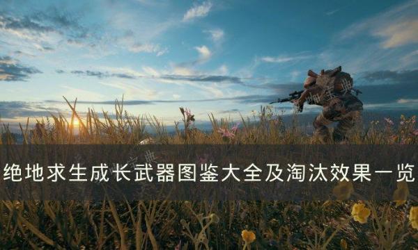 《绝地求生》成长武器有哪些？PUBG成长武器图鉴大全及淘汰效果一览