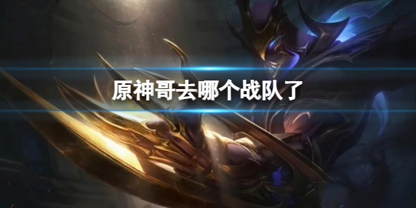 《英雄联盟》原神哥所属战队介绍