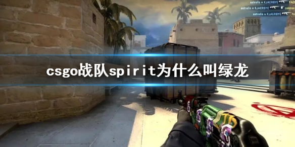 《csgo》战队spirit绿龙外号由来