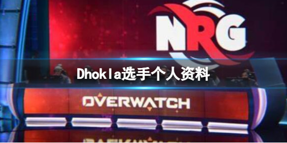 《英雄联盟》Dhokla选手个人资料一览