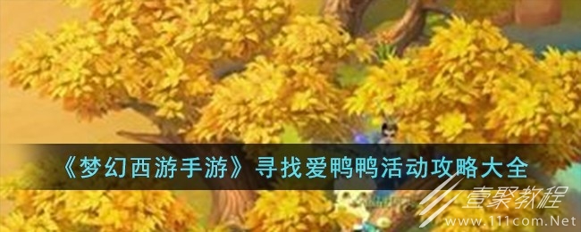 梦幻西游手游寻找爱鸭鸭活动怎么完成