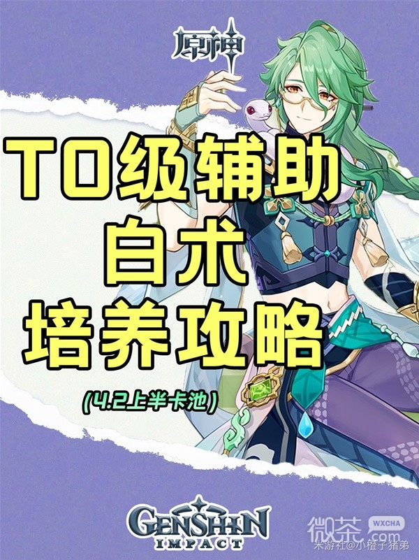 原神辅助向白术配对与出装推荐攻略