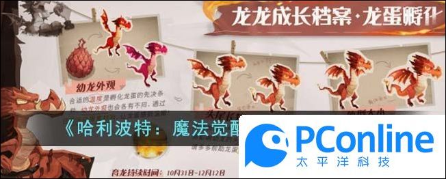 哈利波特魔法觉醒孵化龙蛋方法哈利波特魔法觉醒孵化龙蛋攻略