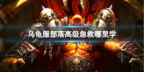 《魔兽世界》乌龟服部落高级急救学习位置