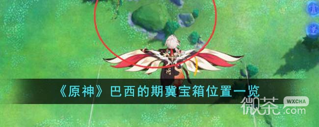原神巴西的期冀宝箱位置介绍