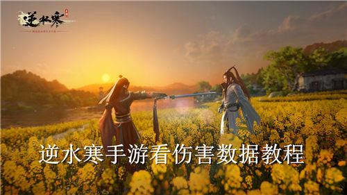 逆水寒手游如何看伤害数据逆水寒手游看伤害数据攻略