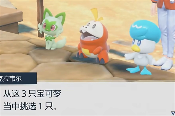 《宝可梦朱紫》精灵特殊类别介绍