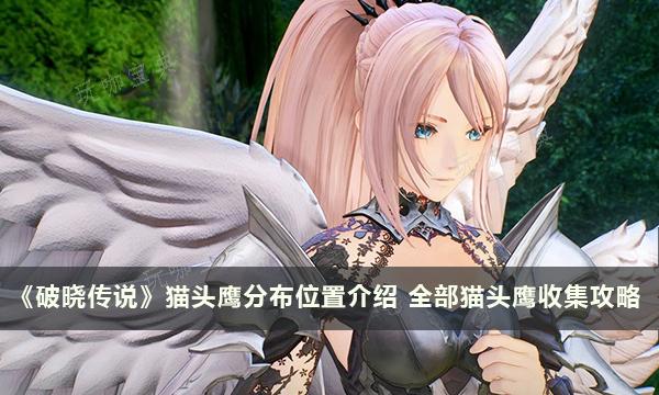 《破晓传说》猫头鹰分布位置分享 全部猫头鹰收集攻略