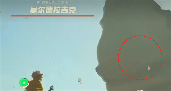 《塞尔达传说王国之泪》外形像鱼的怪物介绍