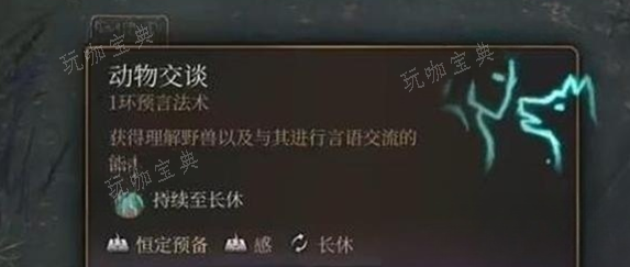 《博德之门3》混乱蛙怎么获取？混乱蛙获取方式