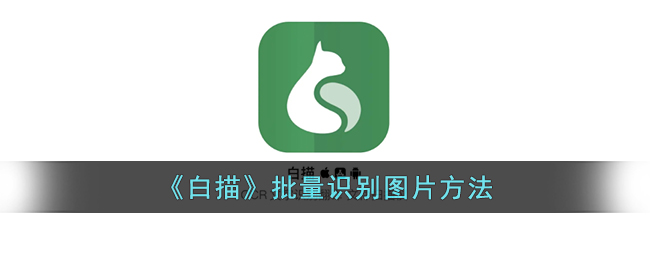 《白描》批量识别图片方法