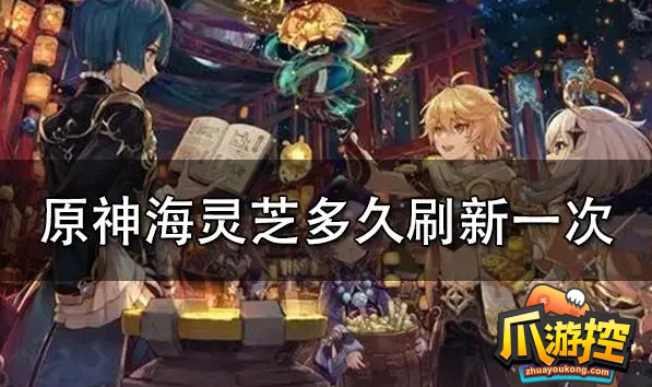 原神海灵芝多久刷新一次