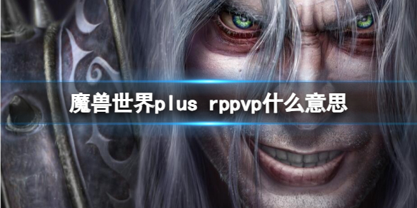 《魔兽世界》plus rppvp意思介绍