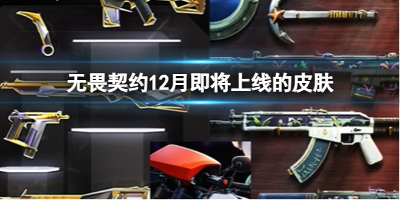 《无畏契约》12月上线的皮肤介绍