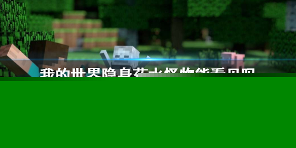 《我的世界》隐身药水对怪物视野影响说明