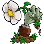 植物大战僵尸仿e支游戏下载
