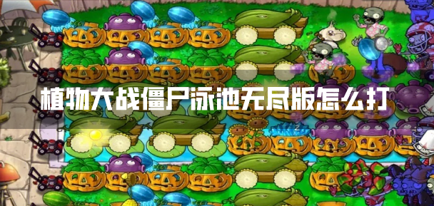 植物大战僵尸泳池无尽版怎么打泳池无尽版最佳布局图