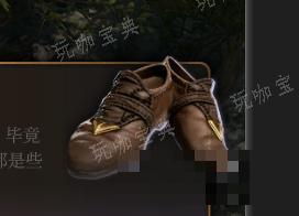 《博德之门3》皮匠之享介绍
