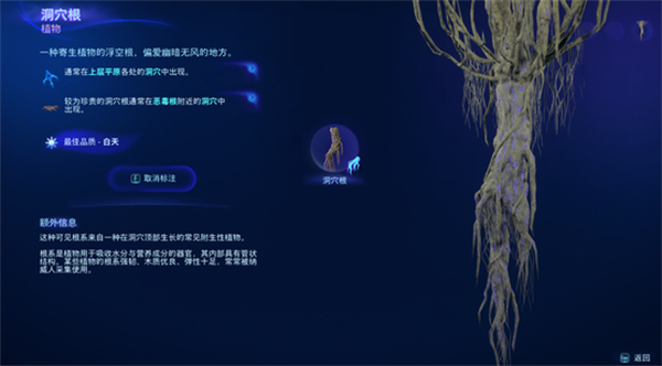 《阿凡达潘多拉边境》洞穴根位置介绍