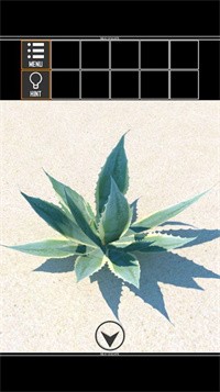 海上荒岛逃生安装包