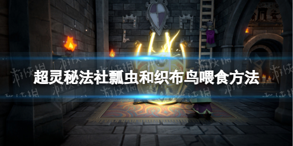 《超灵秘法社》瓢虫和织布鸟喂食方法