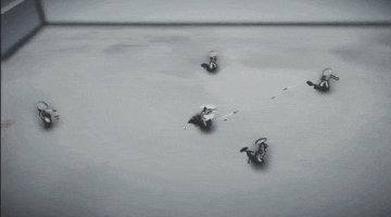 无极道人安装包