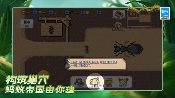 蚂蚁之王安装