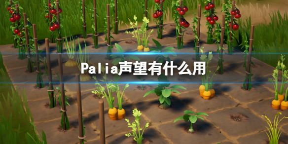 《Palia》声望有什么用？声望作用介绍