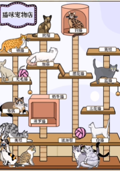 《爆梗找茬王》猫爬架策略