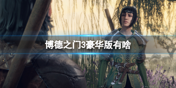 《博德之门3》豪华版介绍