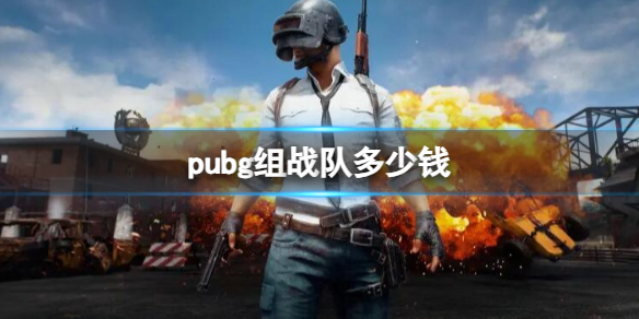 《pubg》组战队所需价格介绍