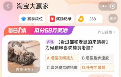为何猫咪喜欢捕食老鼠