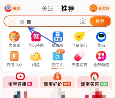 为何猫咪喜欢捕食老鼠