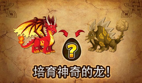 dragoncity版