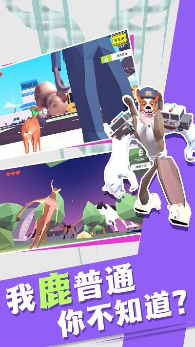非常普通的动物们免费正版