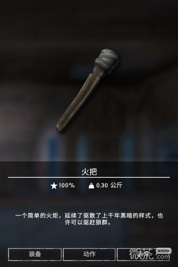 漫漫长夜火把用途一览